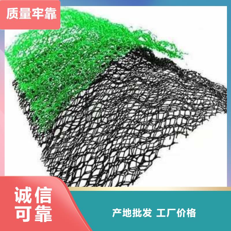 三维植被网,聚丙烯双拉土工格栅大量现货畅销本地