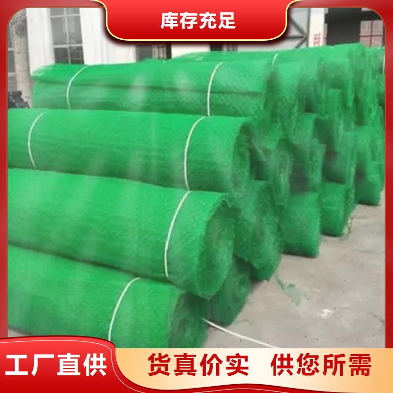 三维植被网土工膜卓越品质保障大厂生产品质