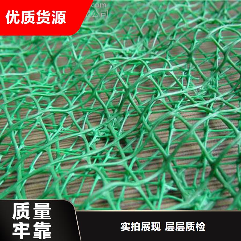 三维植被网涤纶土工格栅全品类现货设计制造销售服务一体