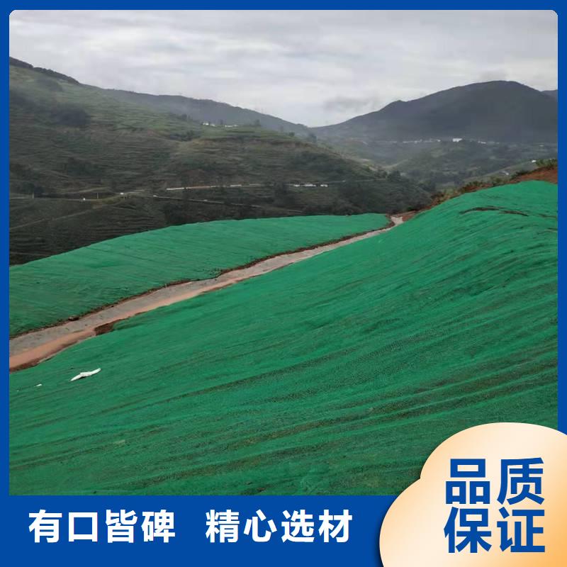 三维植被网膨润土防水垫专业生产厂家真正的源头厂家