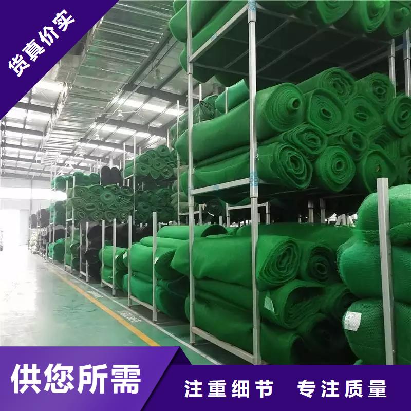 三维植被网土工席垫快捷的物流配送快速发货