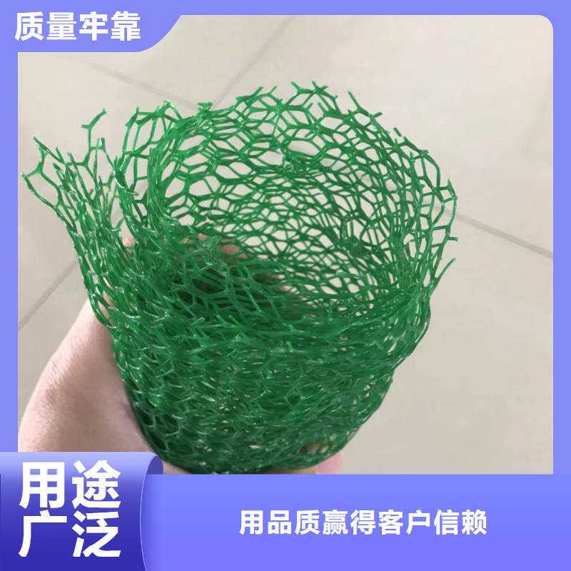 三维植被网膨润土防水毯货源报价多行业适用