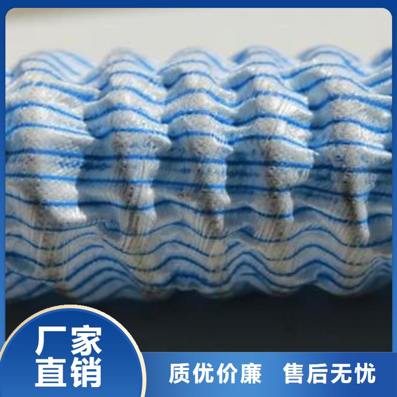 软式透水管三维植被网厂家工程施工案例当地制造商