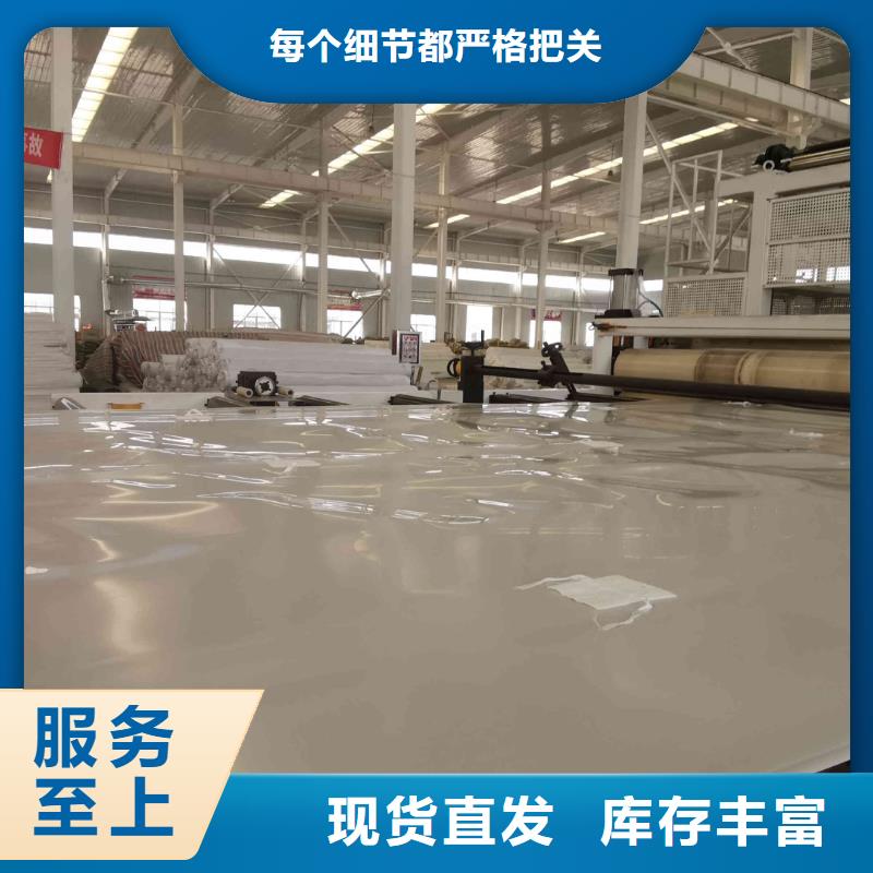 【EVA防水板】钢塑土工格栅厂家当日价格本地生产厂家
