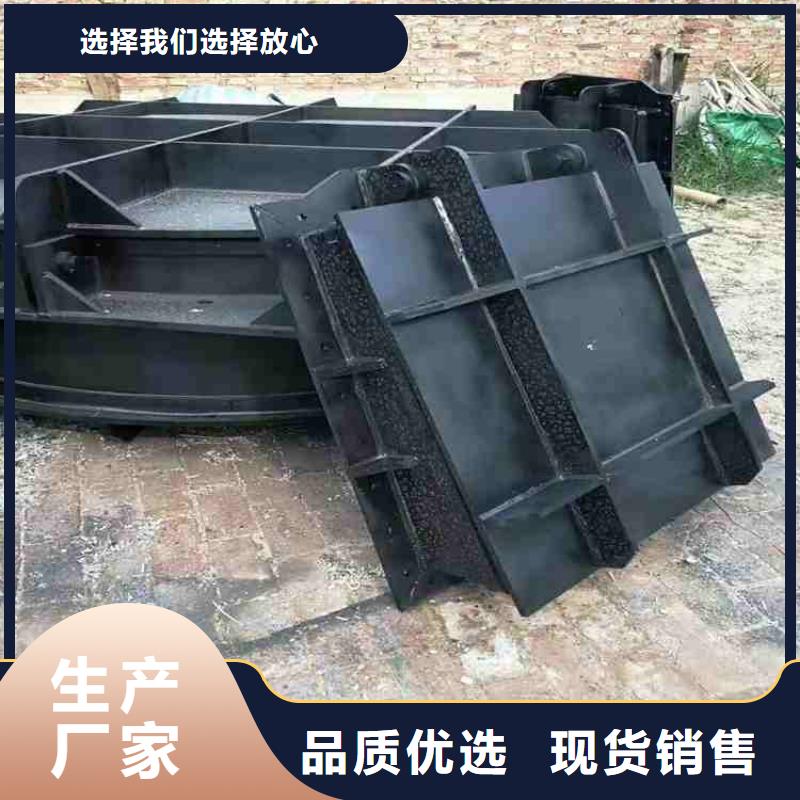 钢闸门【拍门】设计制造销售服务一体专业信赖厂家