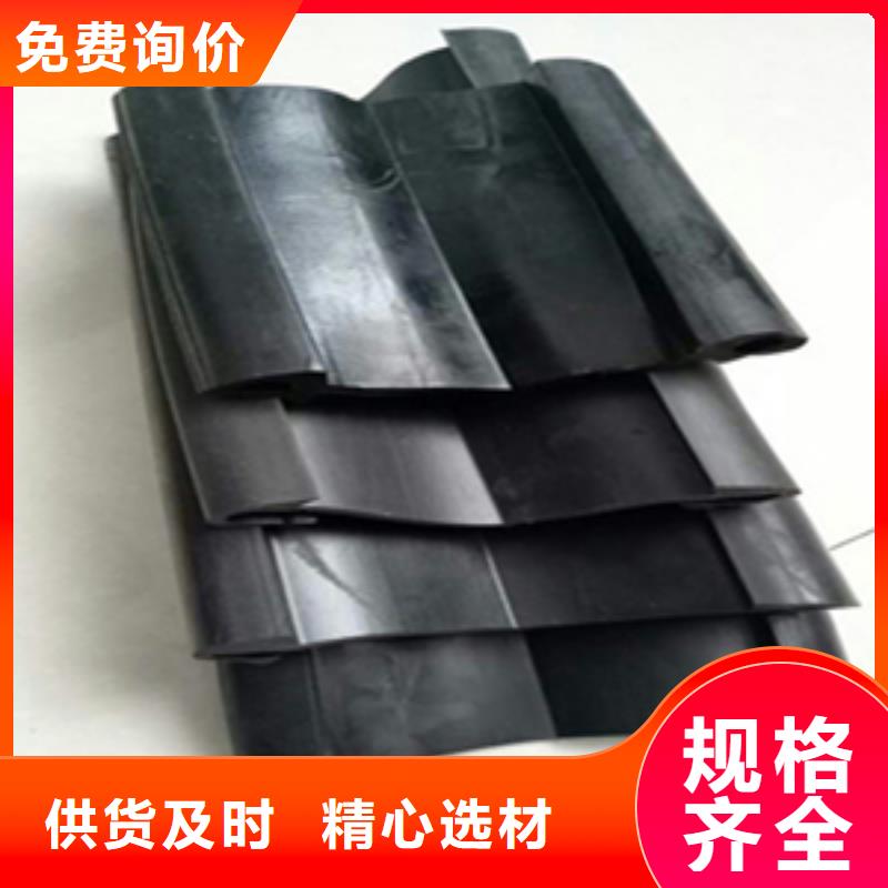 更换伸缩缝胶条施工队伍-众拓路桥专心专注专业