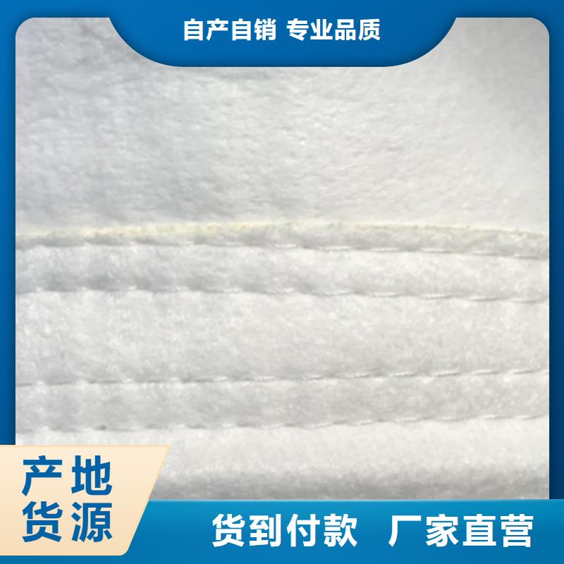 除尘布袋布袋除尘器您身边的厂家详细参数