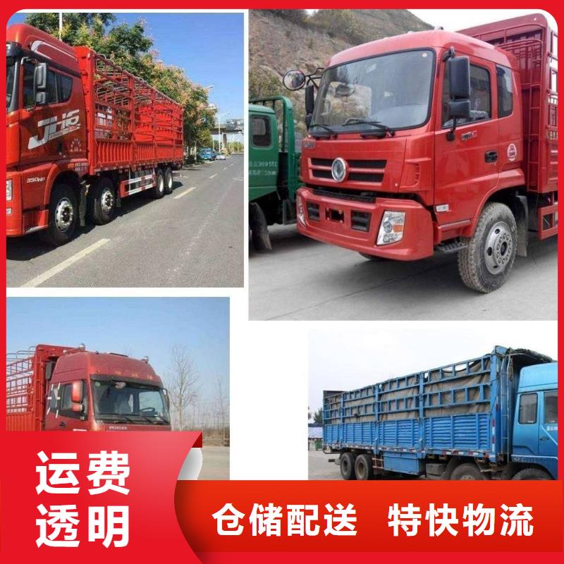 成都到阳江回程货车整车运输公司2024(/派—送/直一达)
