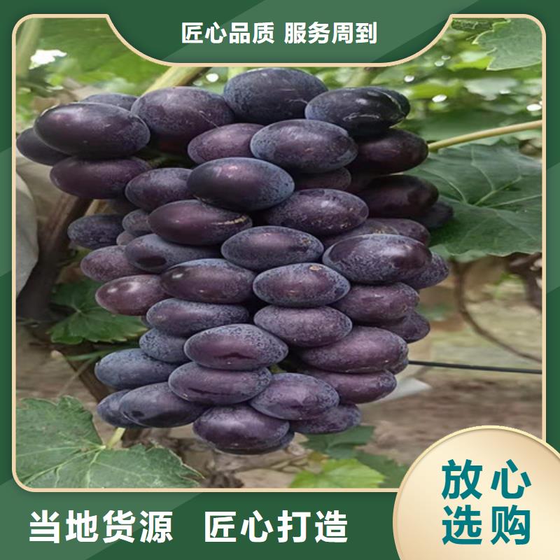 葡萄【花椒苗】24小时下单发货本地服务商