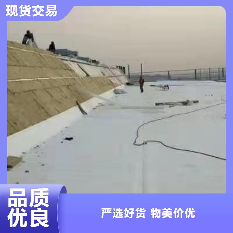 TPOPVC防水卷材质检合格发货实地大厂