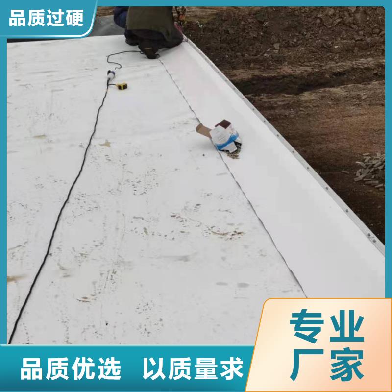 PVCPVC防水卷材施工队品质不将就本地生产厂家