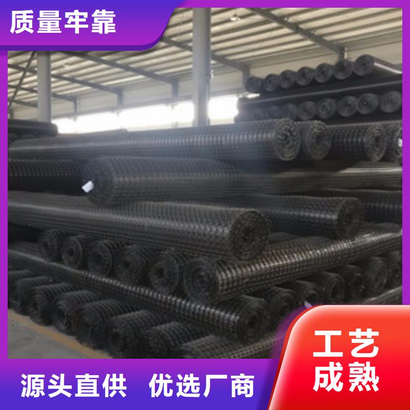 双向塑料格栅复合土工布优良工艺库存充足
