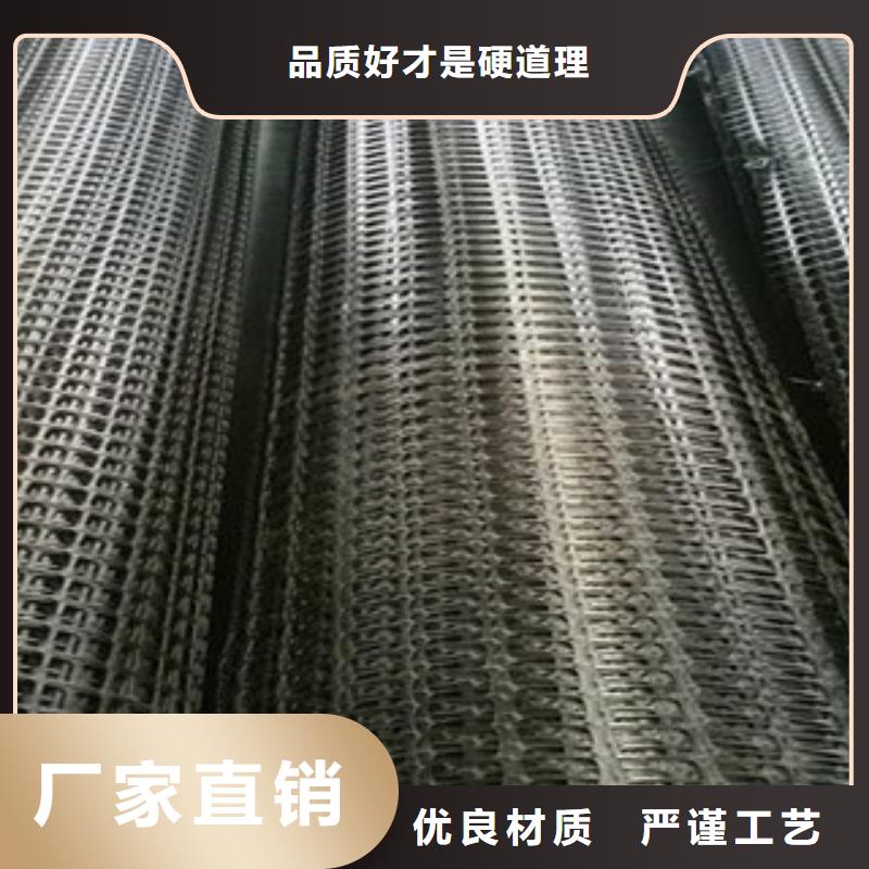 双向塑料格栅塑料排水板库存齐全厂家直供同城厂家