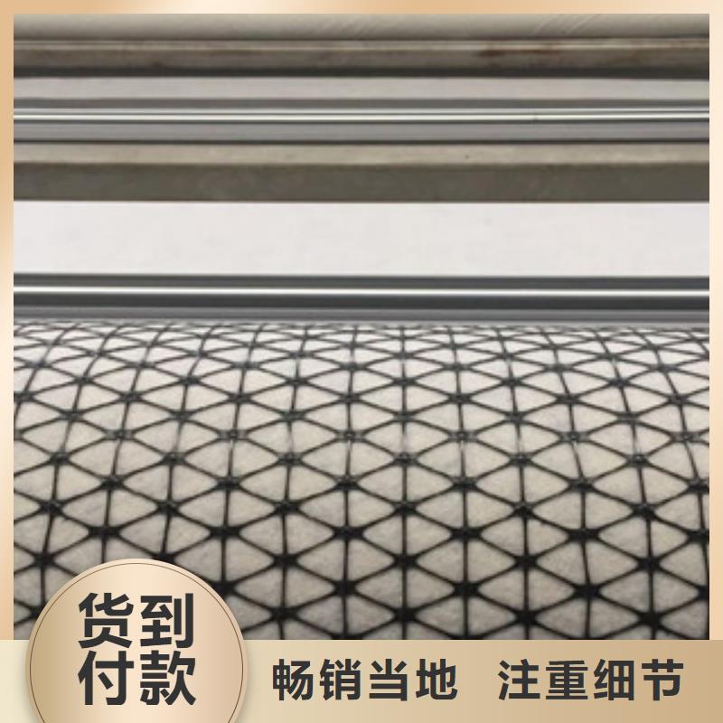双向塑料格栅-塑料土工格栅精挑细选好货每个细节都严格把关