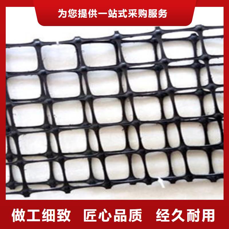 双向塑料格栅【三维植被网】热销产品当地品牌