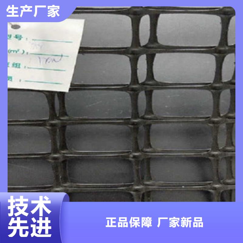 双向塑料格栅三维植被网当地货源厂家直销大量现货