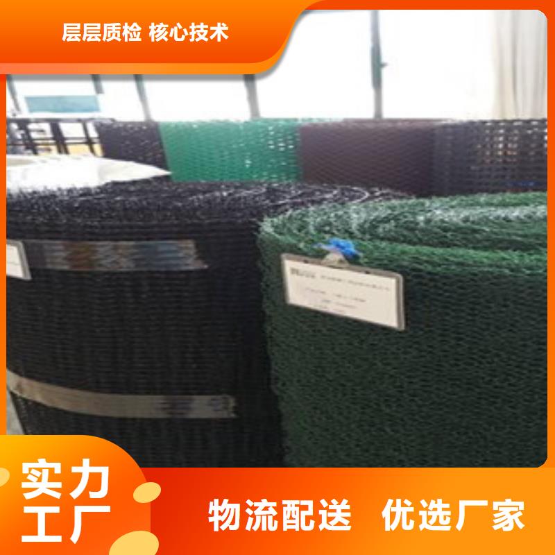 【钢塑土工格栅塑料土工格栅可零售可批发】高品质诚信厂家