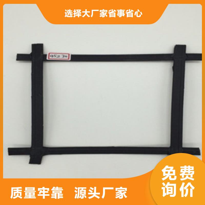 【钢塑土工格栅】玻纤土工格栅精品选购价格地道