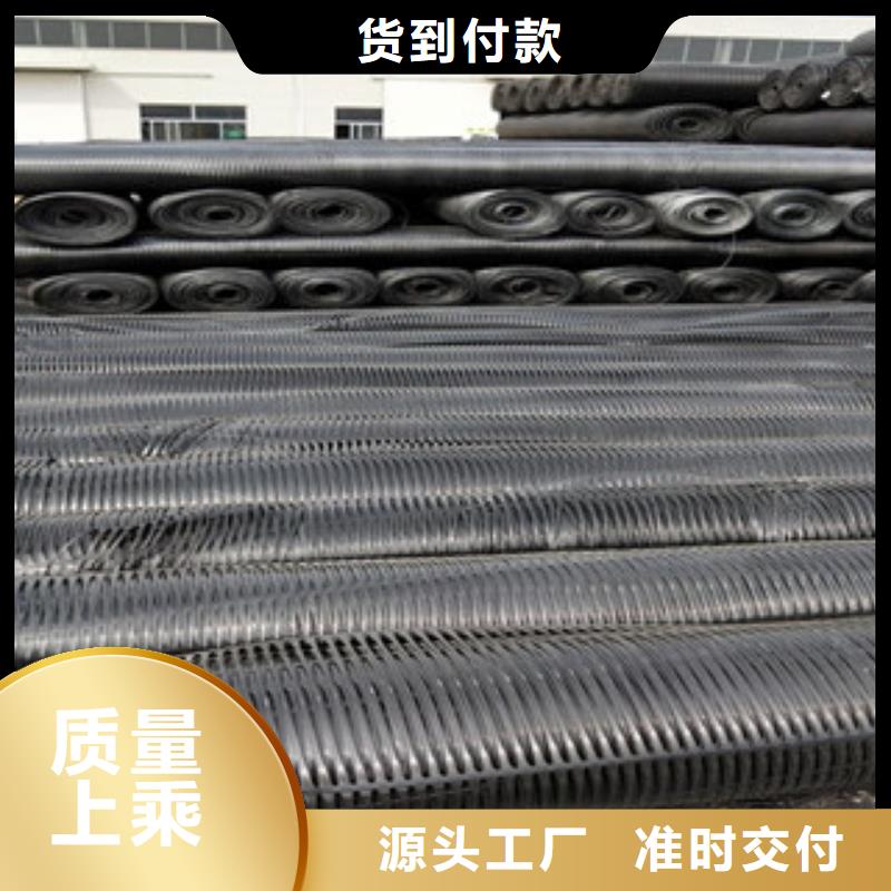 单向塑料格栅三维植被网支持定制贴心售后产地批发