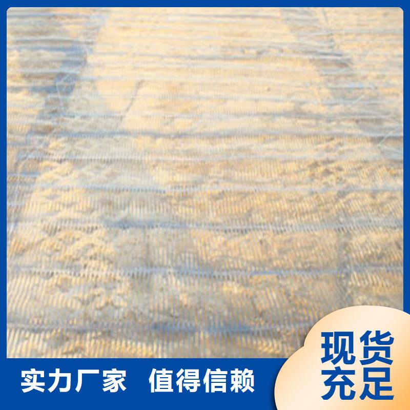 单向塑料格栅_防裂贴抗裂贴客户信赖的厂家性能稳定