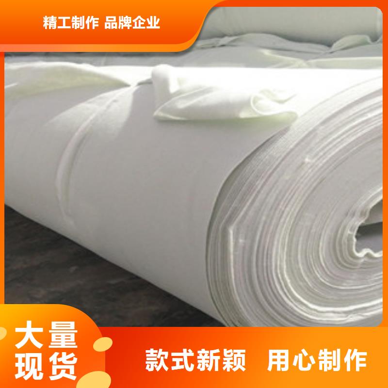 土工布塑料土工格栅厂家十分靠谱今年新款