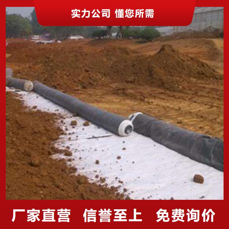 膨润土防水毯优质货源来图定制量大从优