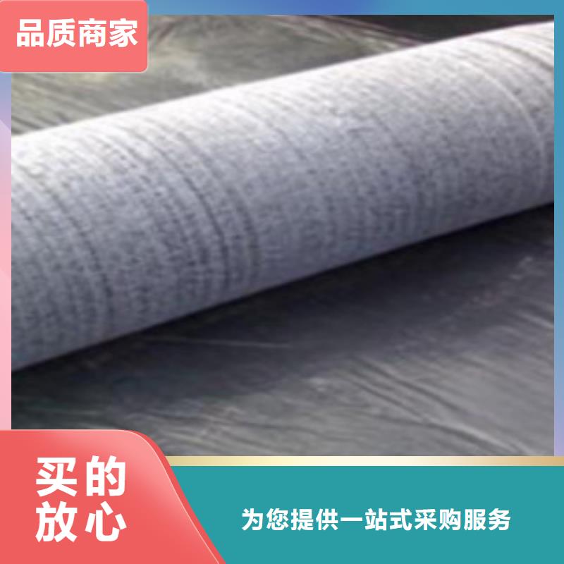【膨润土防水毯】三维植被网优选原材当地供应商