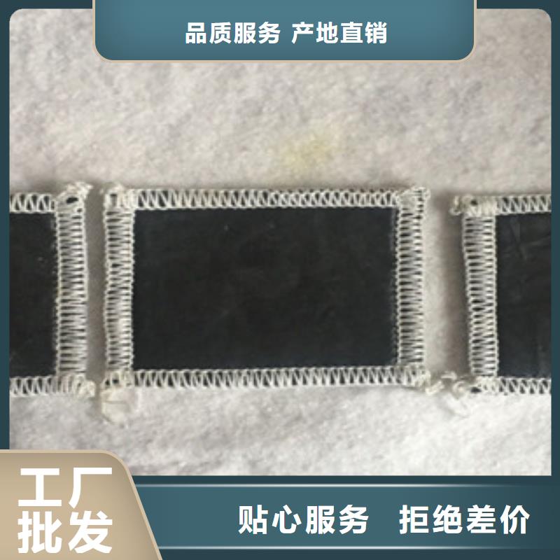 【膨润土防水毯】三维植被网发货及时大品牌值得信赖