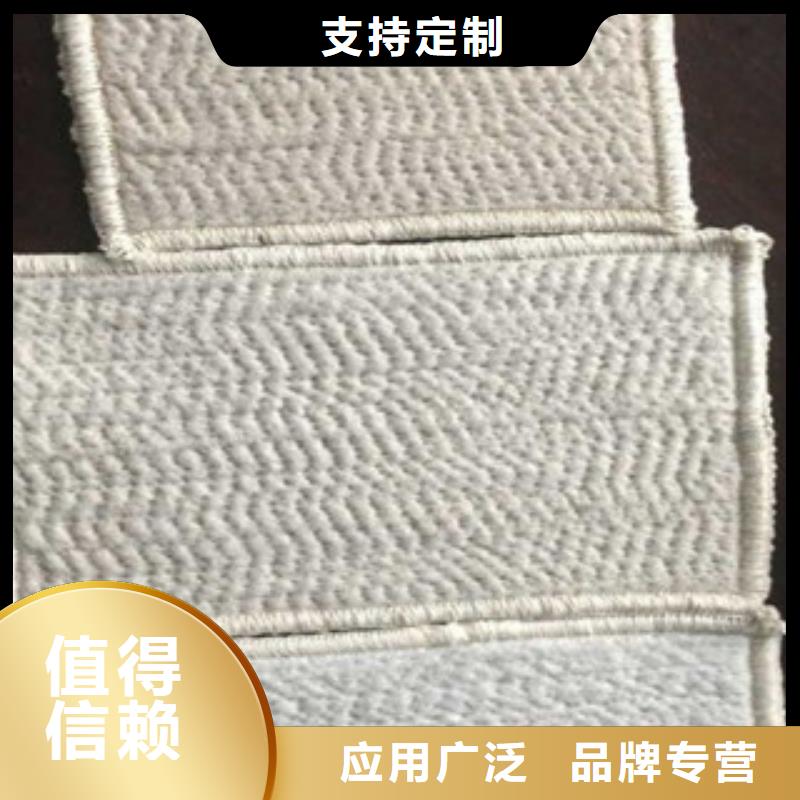 膨润土防水毯塑料土工格栅拥有核心技术优势厂家直销直供