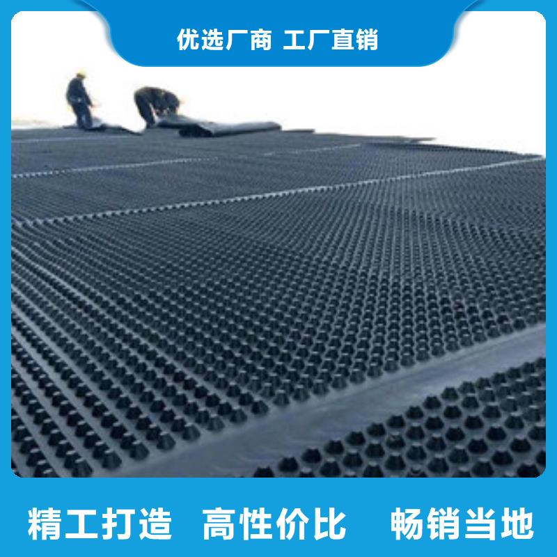 塑料排水板-玻纤土工格栅真诚合作市场行情