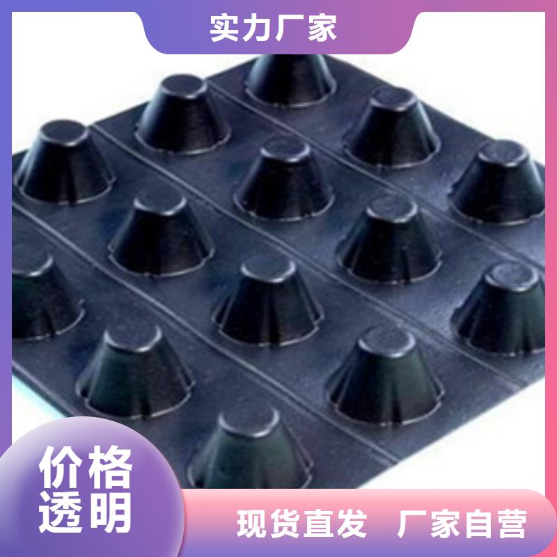 塑料排水板-塑料土工格栅可放心采购当地服务商