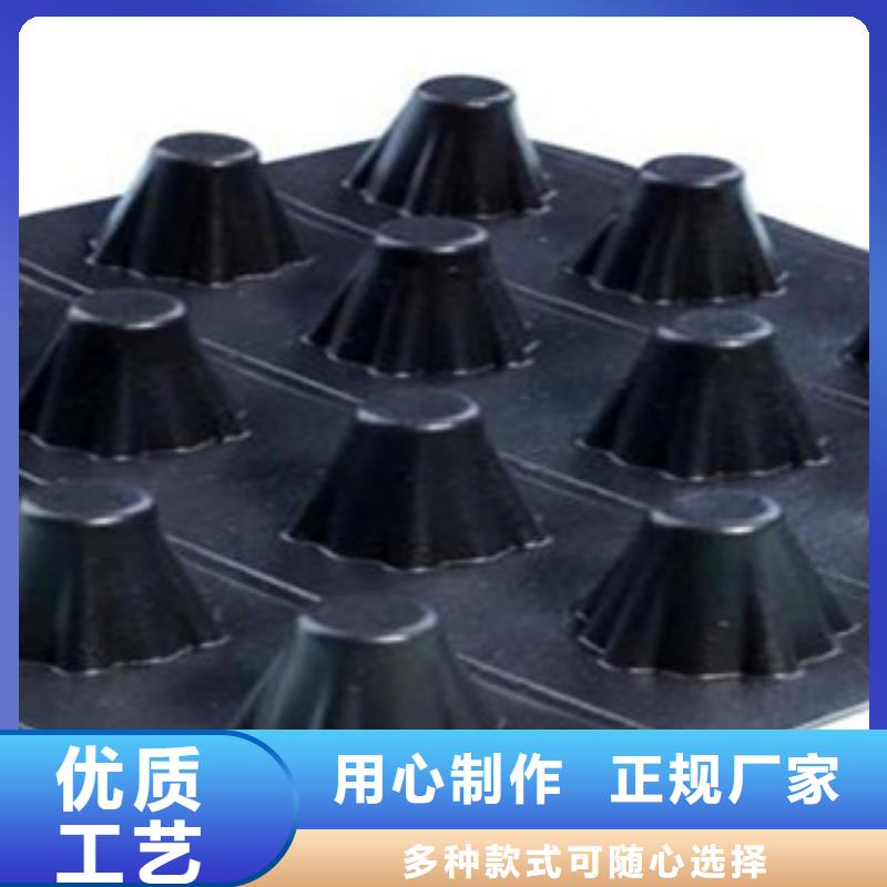 塑料排水板高强度土工网免费询价量大更优惠