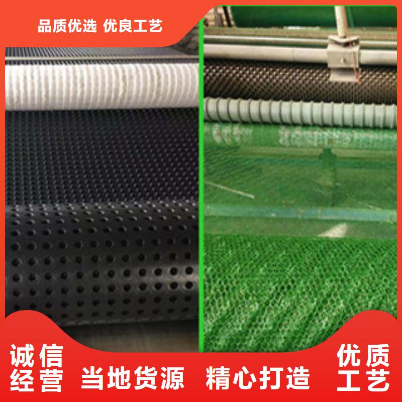 塑料排水板_三维植被网自营品质有保障精工制作