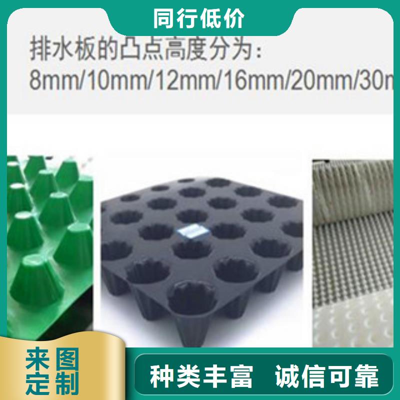 塑料排水板塑料土工格栅厂家直销直供品质保证