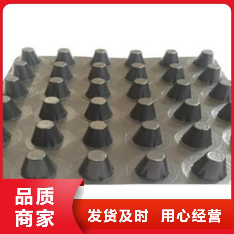塑料排水板三维植被网厂家现货批发同城厂家