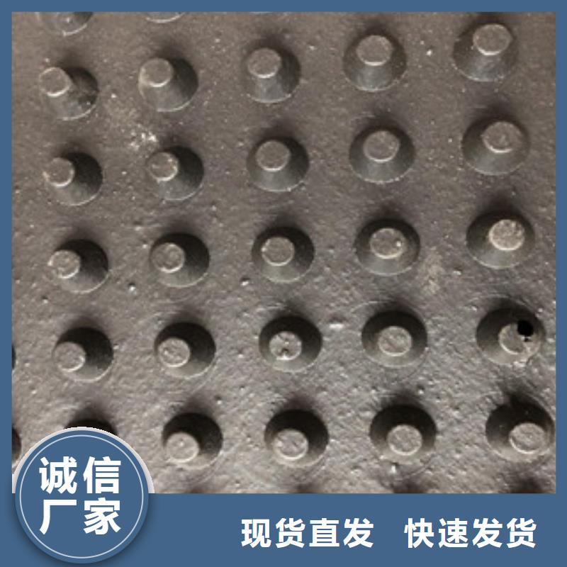 塑料排水板_玻纤土工格栅品质做服务品质优良
