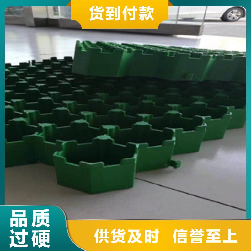 环保植草格,蓄排水板厂家质检严格放心品质本地厂家