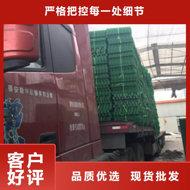 环保植草格植草格厂家价格实在买的是放心