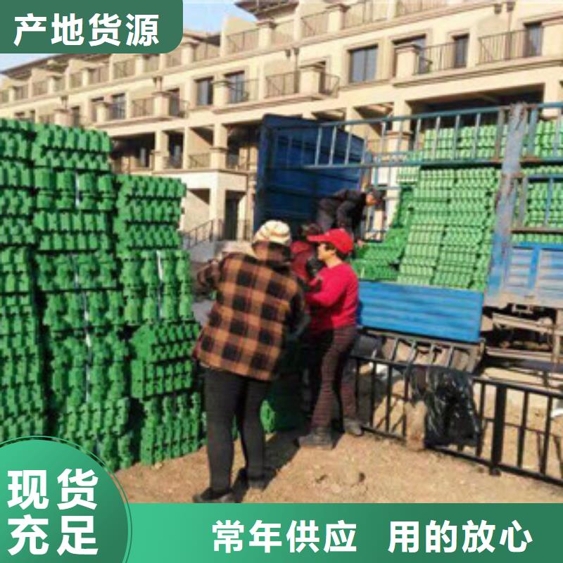【环保植草格】排水板厂家一站式采购商产地直供