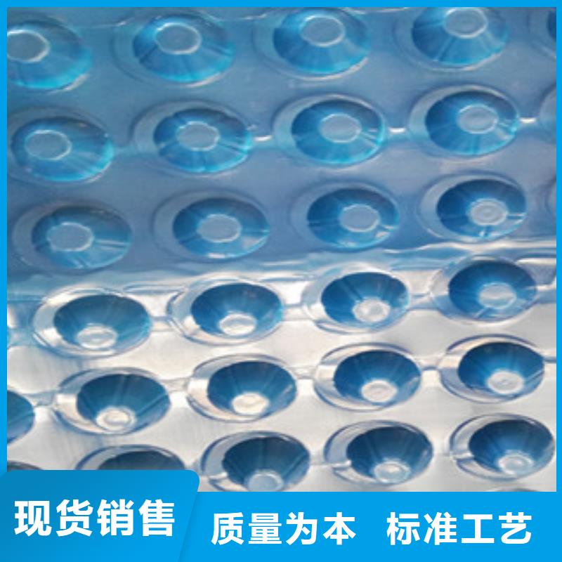塑料排水板植草格厂家一站式服务老客户钟爱