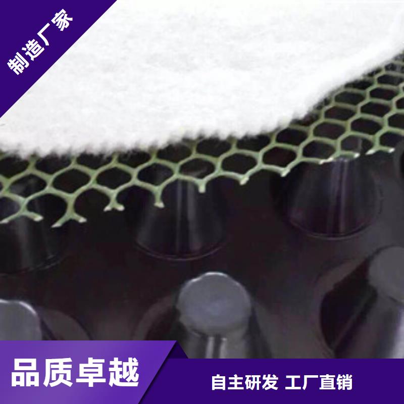 塑料排水板植草格厂家品质有保障本地厂家