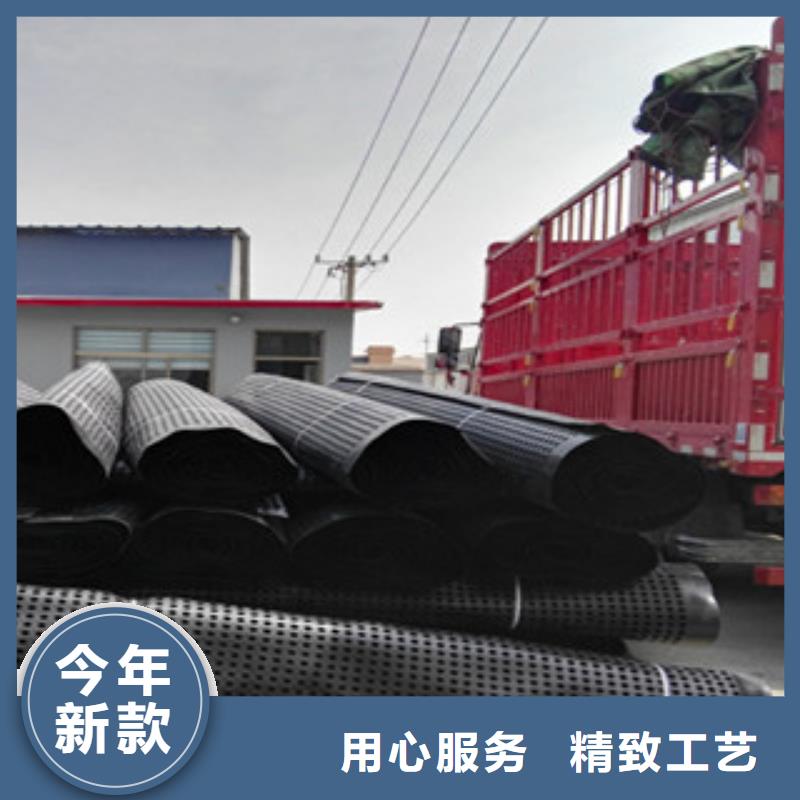 塑料排水板土工膜厂家品质卓越同城经销商