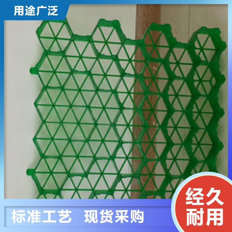 植草格膨润土防水毯厂家实力厂家直销的图文介绍