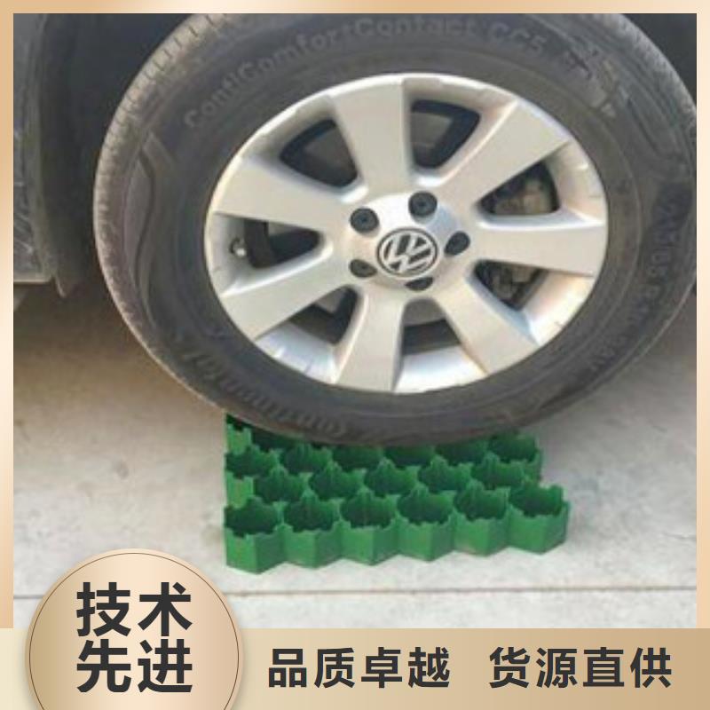 植草格土工布厂家多种规格供您选择当地供应商