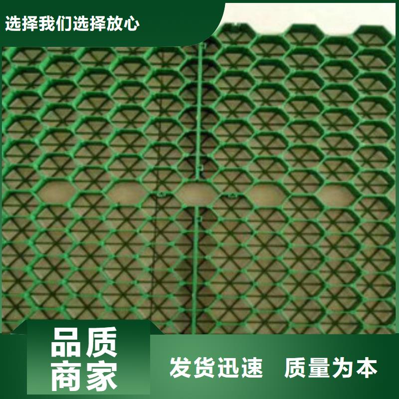 【植草格无纺布厂家经验丰富质量放心】精选货源