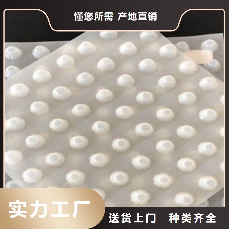 ​排水板土工布厂家拥有核心技术优势当地货源