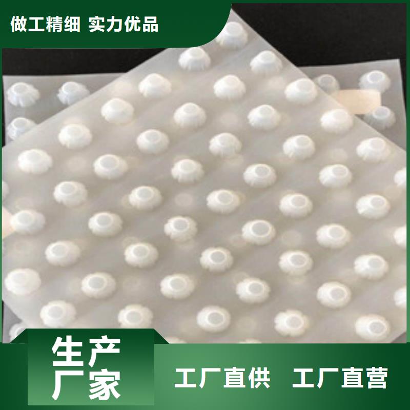 【排水板】排水板厂家现货齐全售后无忧供货及时