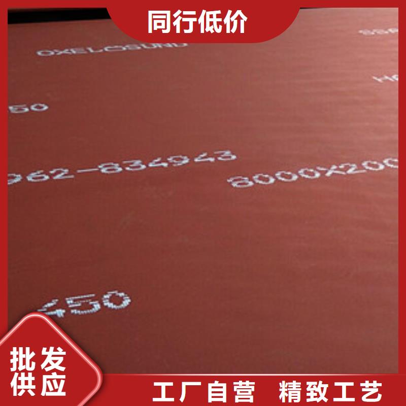 进口耐磨板弹簧钢片值得买支持非标定制