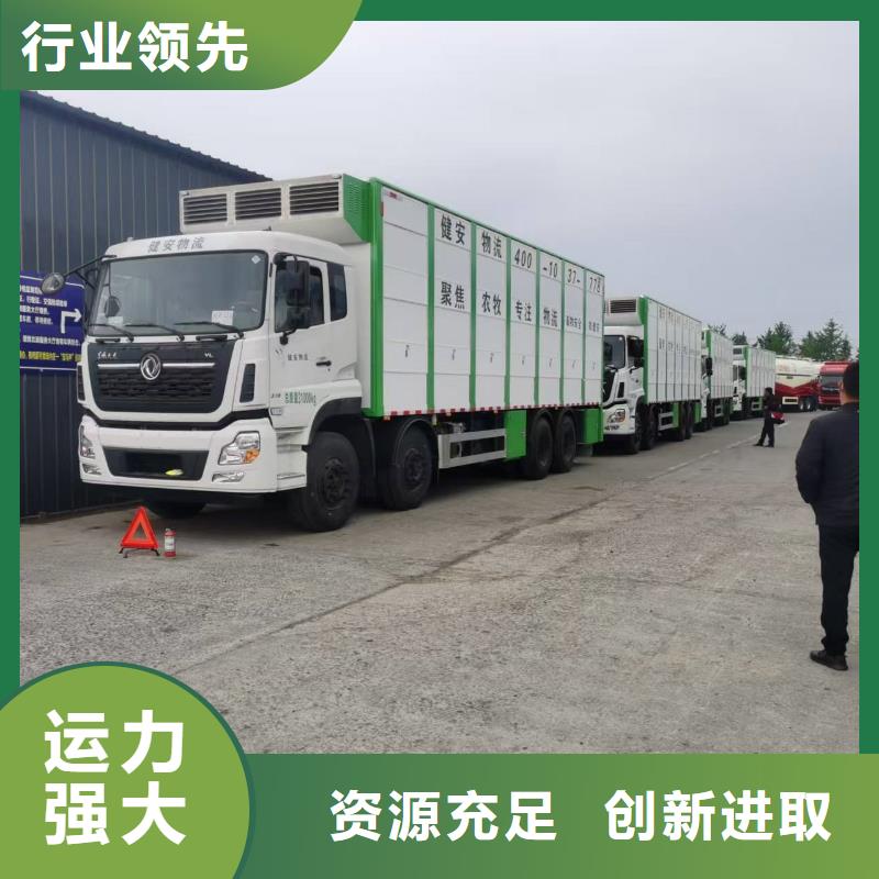 绍兴到德州生猪空调车运输合理安排