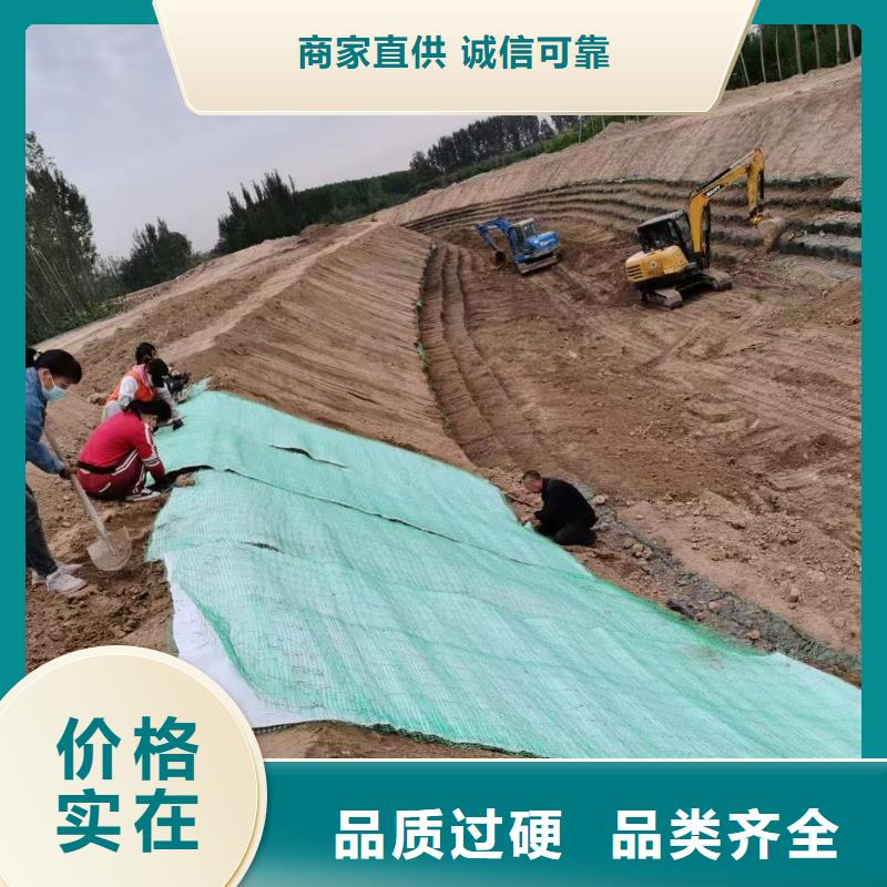 抗冲生物毯一站式厂家质检合格发货